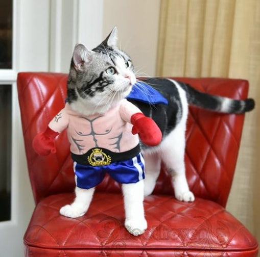 Boxer Costume for Cats — view 3