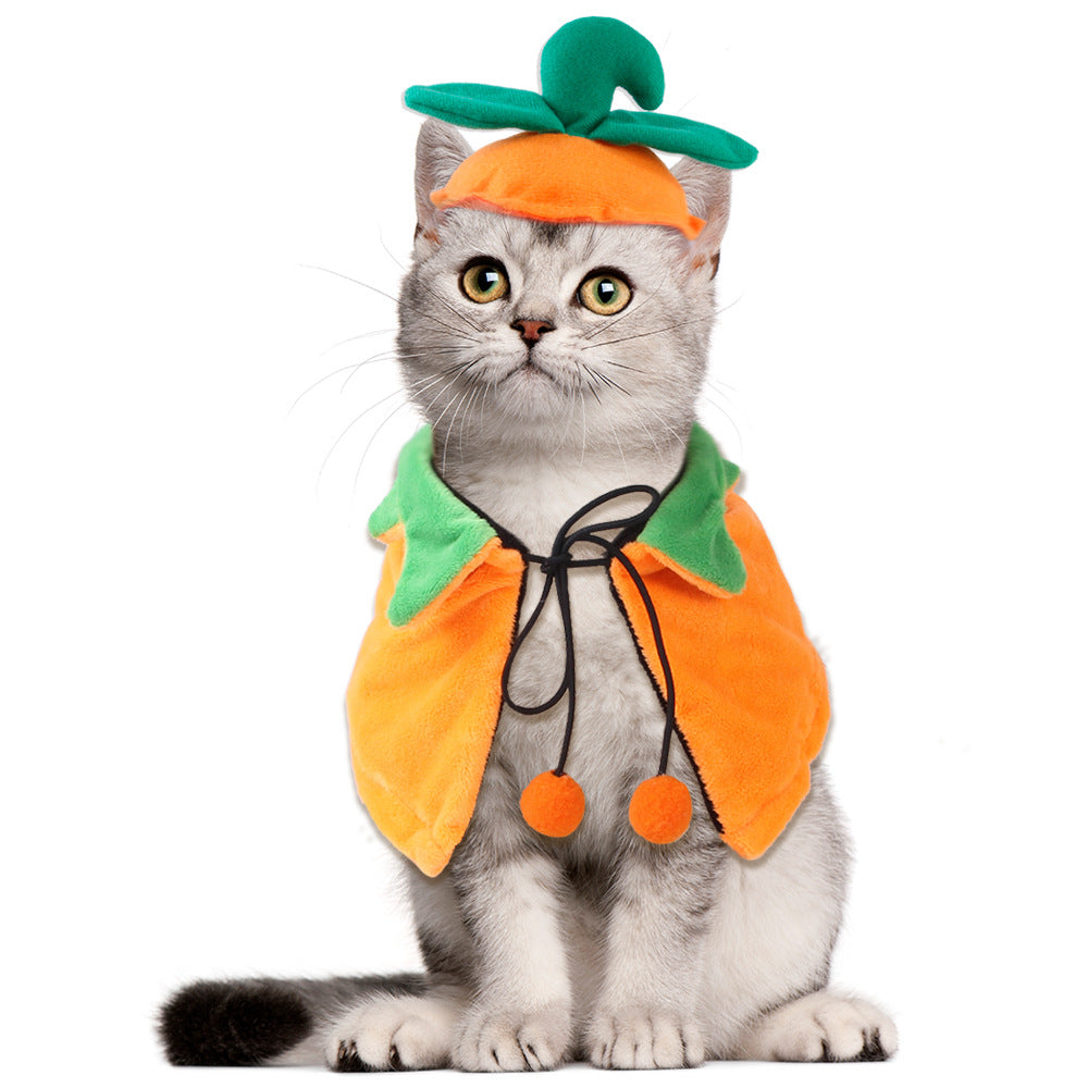 Reversible Pumpkin Cape — Dogs & Cats