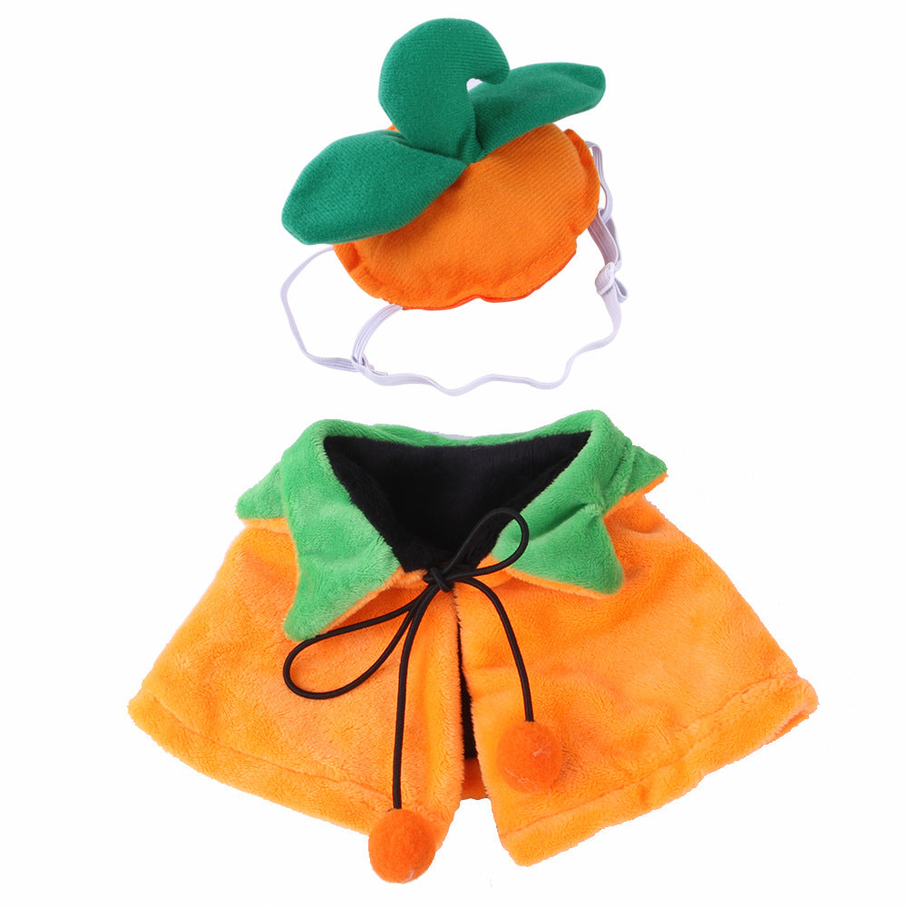 Reversible Pumpkin Cape — Dogs & Cats