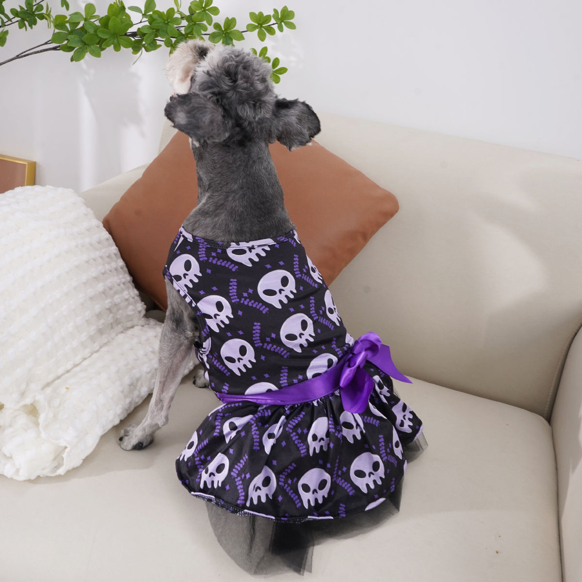 Halloween Skull Pet Shirt — Dogs & Cats