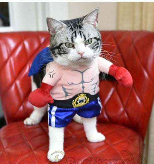Boxer Costume for Cats — view 1