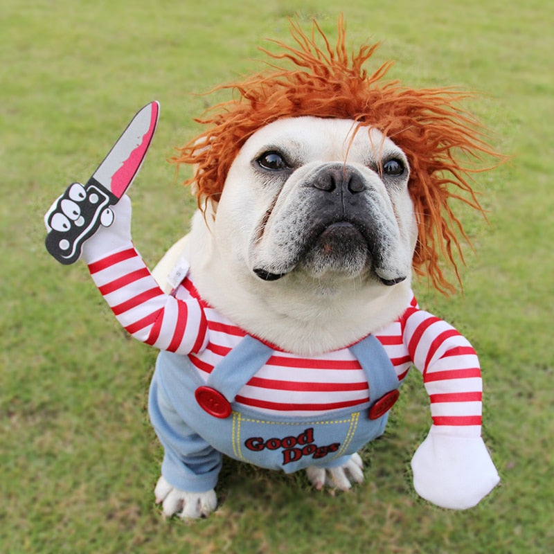 Halloween Dog Costume — Adjustable — view 2