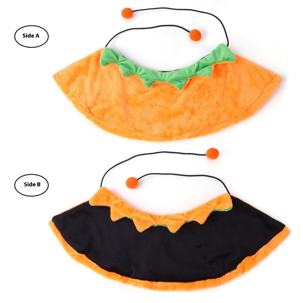 Reversible Pumpkin Cape — Dogs & Cats