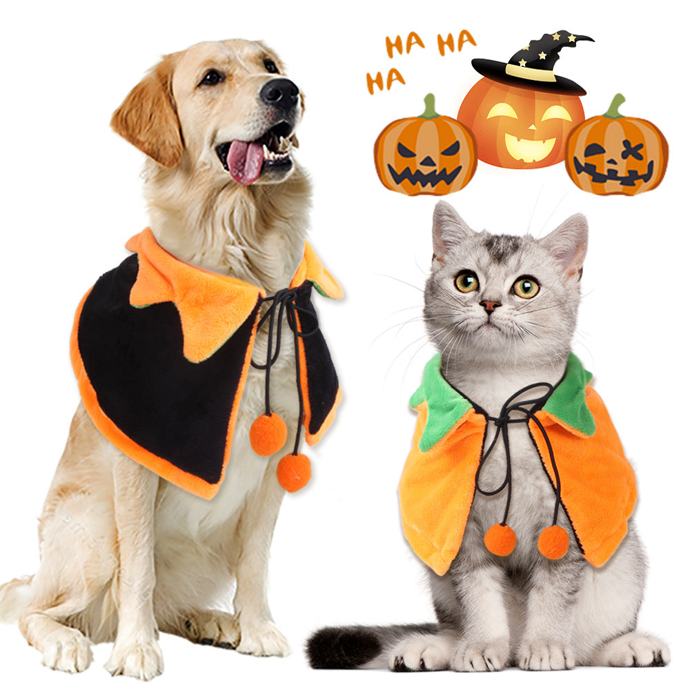 Reversible Pumpkin Cape — Dogs & Cats