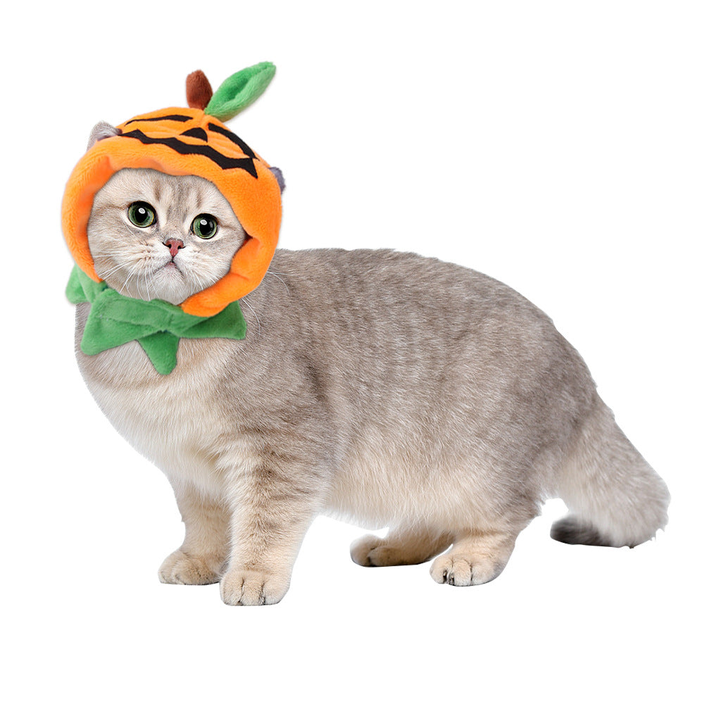 Reversible Pumpkin Cape — Dogs & Cats