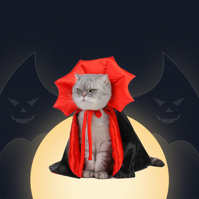 Chat portant une cape de vampire noire et rouge, fond de nuit d'Halloween